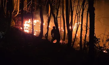 Ordu’da örtü yangını ormana sıçradı! Ekiplerin müdahalesi sürüyor