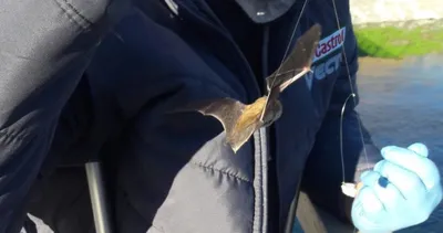 Elazığ’da şok olay! Oltaya öyle bir şey takıldı ki...  Balıkçılar şaştı kaldı