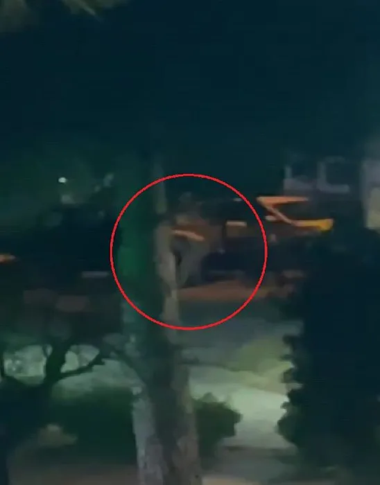 Ortağını 7 kurşunla öldüren Ertuğrul Erdoğan’ın karar duruşmasındaki ifadesi şoke etti: “Hatırlamıyorum” dedi ve…