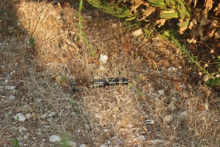 Şehir eşkıyası adam, evli kadının korkulu rüyası oldu! Benimle birlikte olacaksın