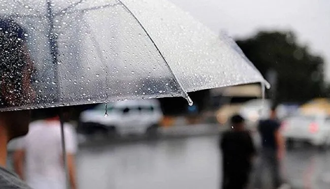 son-dakika-meteoroloji-uyardi-cok-kuvvetli-saganak-firtina-geliyor-istanbul-icin-tarih-verildi-tam-4-gun-surec-1762237811476.jpg (785×450)