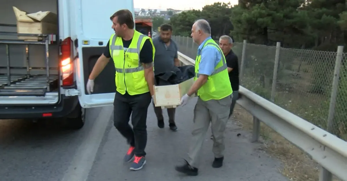 Yol kenarına iki tabut indirdiler: İstanbul'da kahreden görüntü! - Galeri - Yaşam