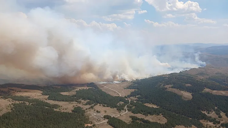 SON DAKİKA: Ankara’daki orman yangını Bolu’ya sıçradı! Valilik açıkladı: 65 kişi tahliye edildi