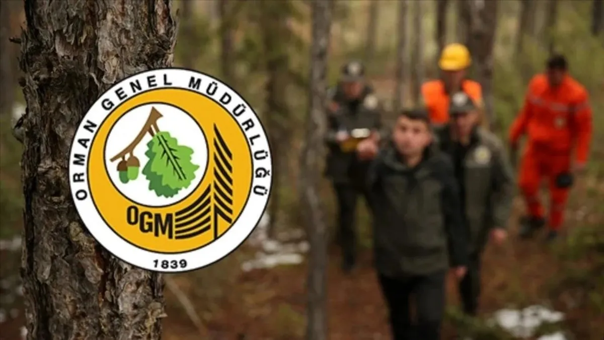 OGM PERSONEL ALIMI İLANI 2025: Orman Genel Müdürlüğü (OGM) işçi alımı başvuruları başladı mı, hangi tarihlerde, şartları neler?