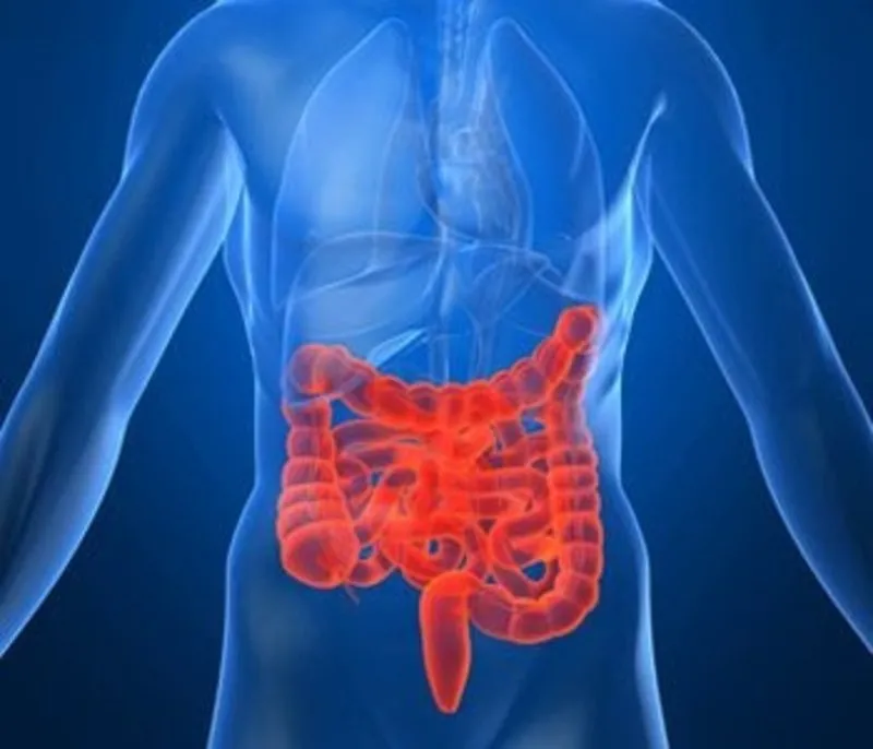 Crohn Hastaligi Nedir Belirtileri Nelerdir Saglik Haberleri