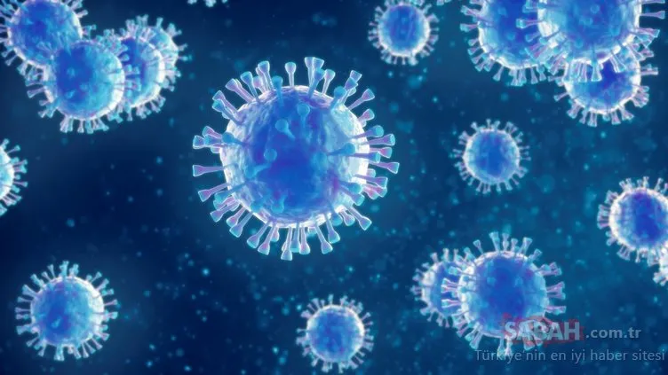 İnfluenza A virüsü nasıl ortaya çıkıyor? İşte influenza ile baş etmek için 8 öneri