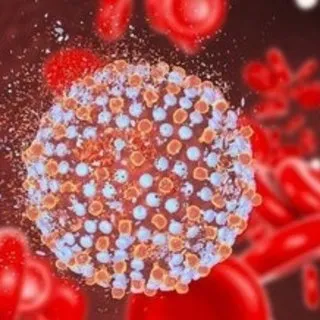 Hepatit A nedir, belirtileri nelerdir? Hepatit A nasıl bulaşır?