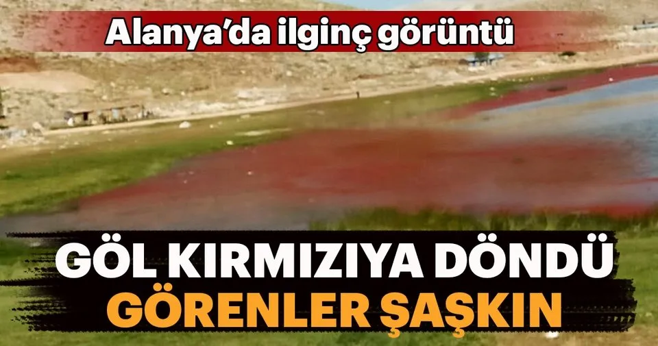 Alanya Da Kirmiziya Donen Gol Sasirtti En Son Haber