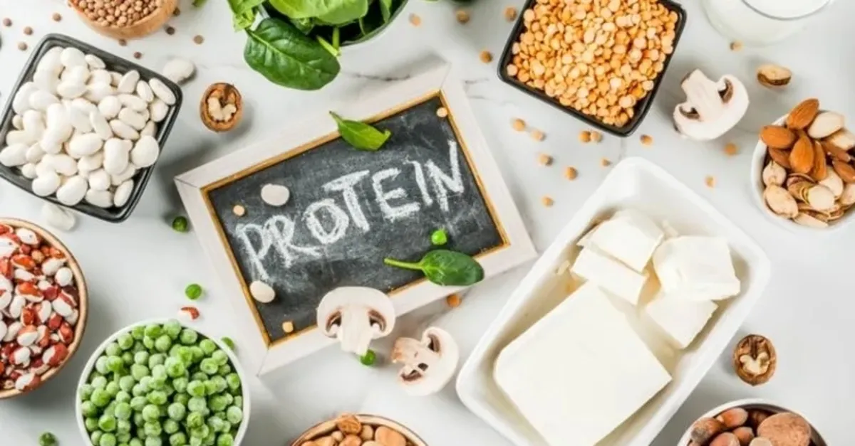 G nl k Protein htiyac Hesaplama Kad nlarda Ve Erkeklerde 1 G nl k g-nl-k-protein-htiyac-hesaplama-kad-nlarda-ve-erkeklerde-1-g-nl-k