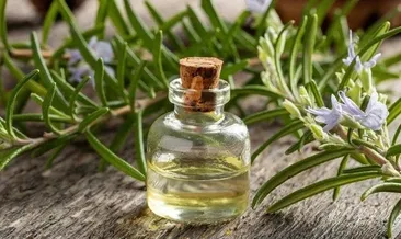 Biberiye Alzheimer’a karşı koruyor