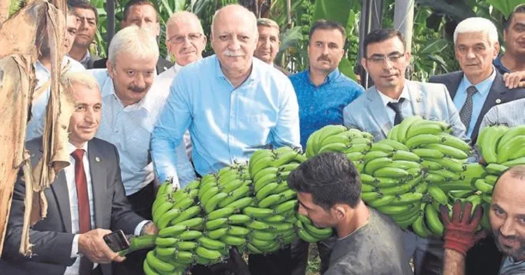 Ispanağın suçu yok