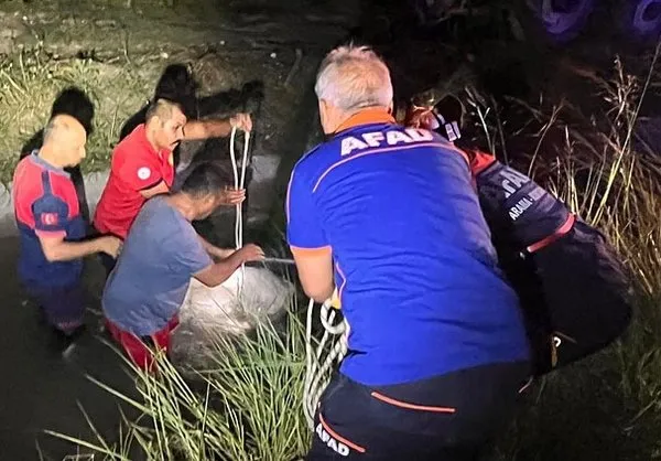 Otomobil Sulama Kanalına Uçtu