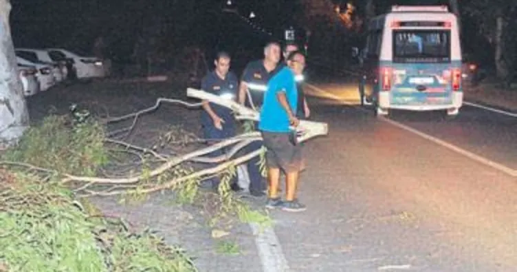 Foça’da şiddetli rüzgar etkili oldu