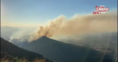 Muğla Ula’daki orman yangını kontrol altına alındı | Video