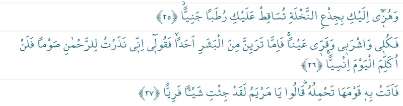 meryem-suresi-25-26-27-ayet-okunusu-arapca-yazilisi-ve-turkce-anlami-1736154798665.jpg