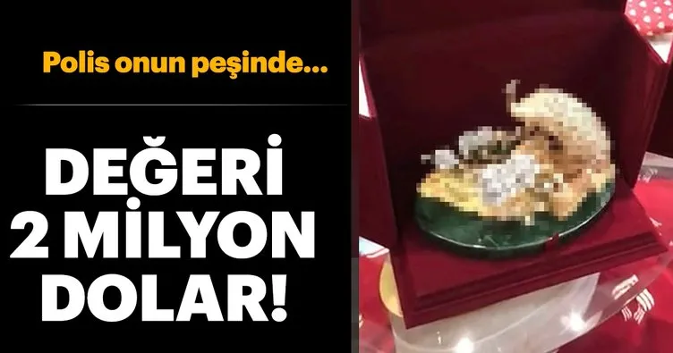 İstanbul’da 2 milyon dolar değerindeki ’tavus kuşu’ operasyonu!