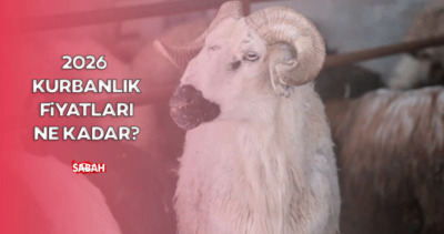 Büyükbaş, küçükbaş kurbanlık fiyatları ne kadar? İl il 2026 Kurbanlık fiyatları