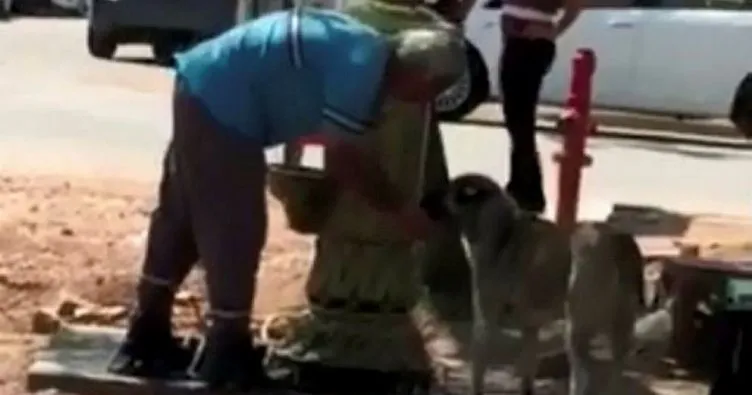 Temizlik görevlisi köpeğe elleriyle su içirdi