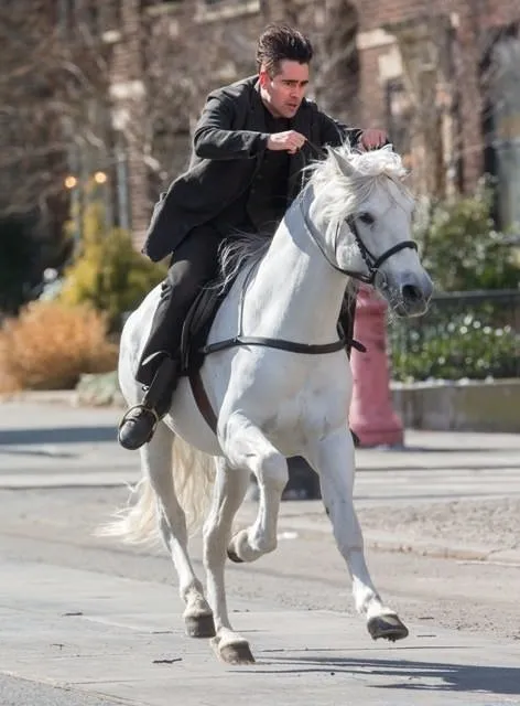 New York sokaklarında atla gezdi