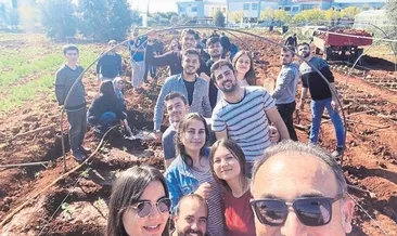 75 dönüm seranın bakımını yapıyorlar