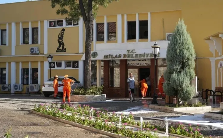 SABAH ortaya çıkarmıştı! Zeytin ağacı katliamında şok görüntüler: İş makinesiyle...