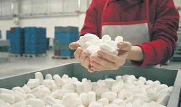 Konya’da günde 100 ton Mevlana şekeri üretiliyor