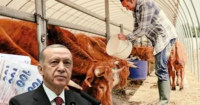 Hayvancılık yapanlara yüzde 70 ek destek! Başkan Erdoğan açıkladı! ’KDV’den muaf...’