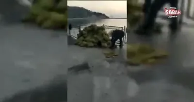 Kaçak avladıkları 150 çuval midye ile yakalandılar! | Video