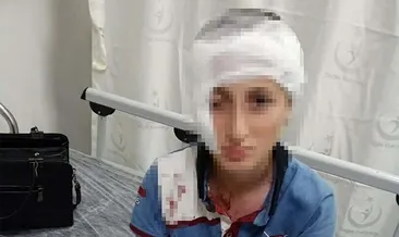 Saldıran köpeğin sahibine rekor ceza