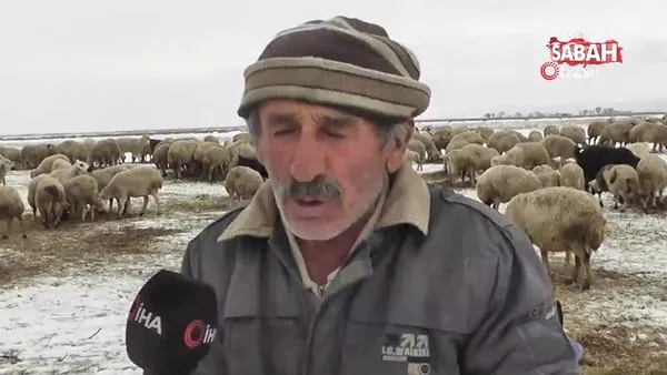Çobanların soğuk havada 'Kuzu' nöbeti