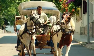 Fayton kararına destek