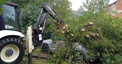 Çaycuma'da fırtına ağaç devirdi, park halindeki otomobil zarar gördü #zonguldak