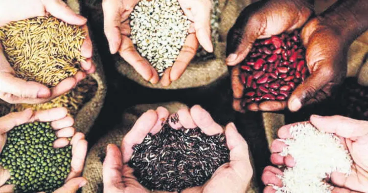 Yerli tohumda Türkiye atağa kalktı