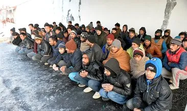 Ardahan’da 79 kaçak yakalandı #ardahan