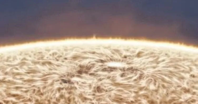 Bahçesinden güneşin ‘tüylü’ pozunu çekti