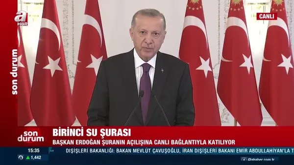 Başkan Erdoğan yeni yol haritasını duyurdu! İşte 28 maddelik kritik bildiri | Video