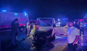 Bingöl’de feci kaza! Panelvan yola çıkan ata çarptı: 1 ölü, 2 yaralı