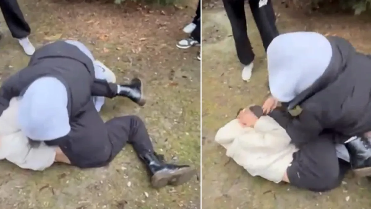 Liseli kızların parktaki kavgası kamerada! Yerden kalkamayan arkadaşlarını dakikalarca darbettiler Liseli kızların parktaki kavgası kamerada! Yerden kalkamayan arkadaşlarını dakikalarca darbettiler