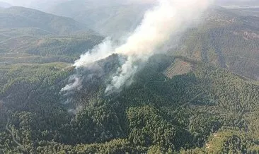 Burdur'daki orman yangınına müdahale sürüyor #burdur