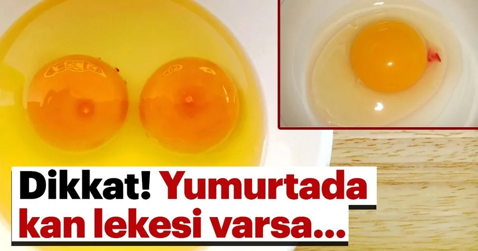 yumurtada kan lekesi varsa ne anlama