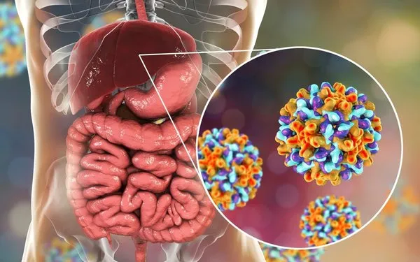 hepatit b belirtileri