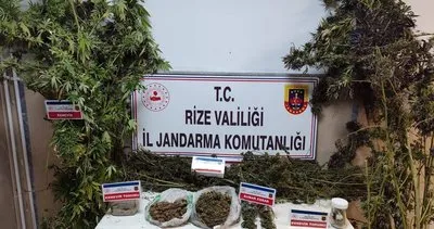 Rize'de il jandarmadan esrar operasyonu! #rize