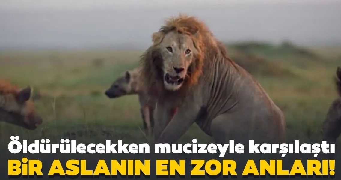 kızlık zarı alınması kadınlar kulübü bekar milyoner kadınlarla tanış