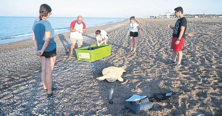 Belek’e caretta tedavi merkezi