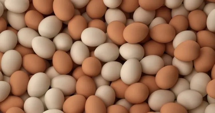 Türkiye’den İran’a 2 bin TIR yumurta