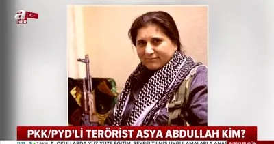 TTB’den terör elebaşı Asya Abdullah’a ’Barış, Dostluk ve Demokrasi’ ödülü! Utanmadan bir de tören düzenlemişler | Video