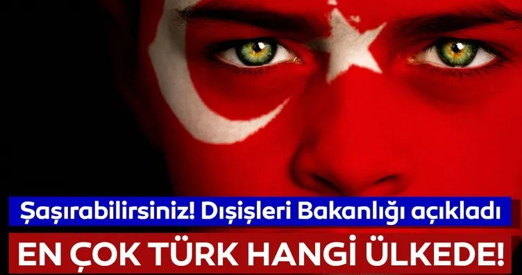 Hangi ülkede ne kadar Türk var? En çok Türk hangi ülkede yaşıyor?