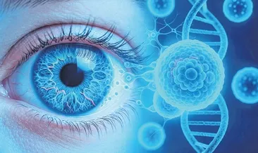 Retinaya kök hücre