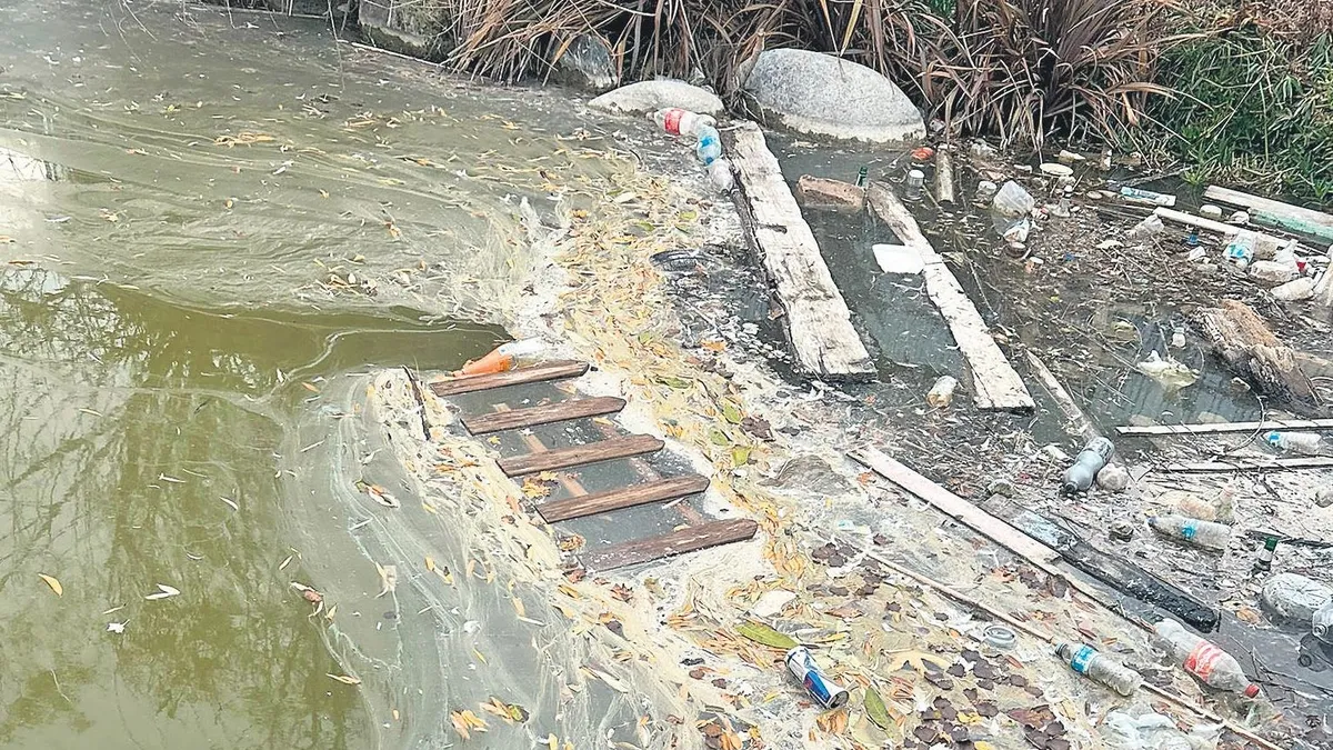 Botanik Parkta ihmal dehşeti