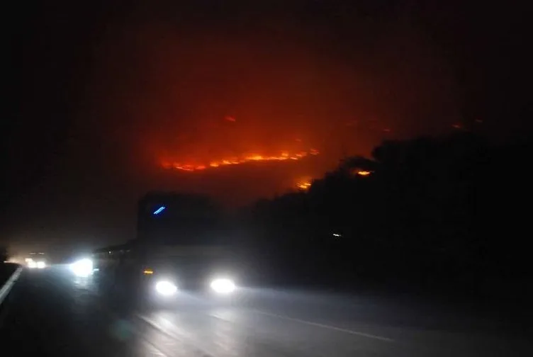 İskenderun’da orman yangını